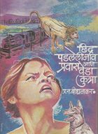 Chhidra padaleli nav ani pravas veda kutra